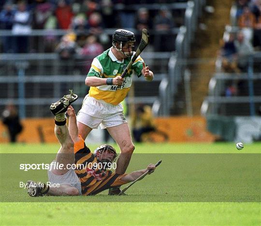 Kilkenny v Offaly - Guinness Leinster Senior Hurling Championship Semi-Final