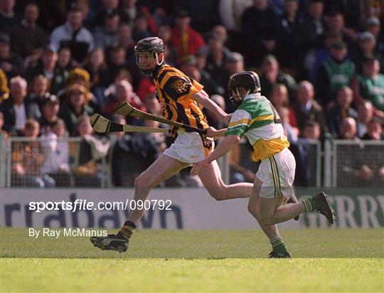 Kilkenny v Offaly - Guinness Leinster Senior Hurling Championship Semi-Final