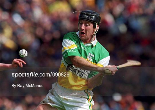 Kilkenny v Offaly - Guinness Leinster Senior Hurling Championship Semi-Final