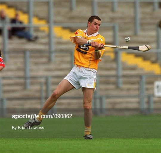 Antrim v Down - Guinness Ulster Senior Hurling Championship Final