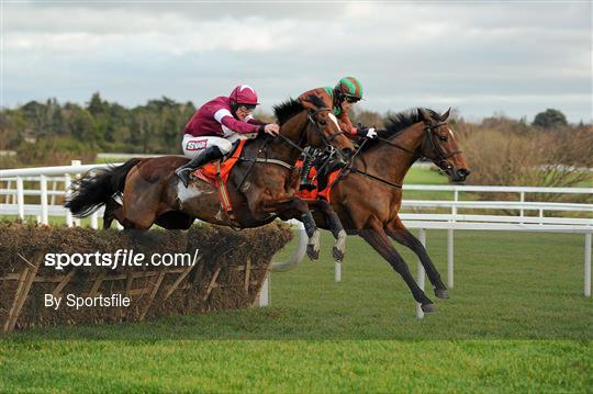 Leopardstown Christmas Racing Festival 2011 - Monday 26th December