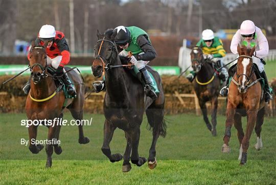 Leopardstown Christmas Racing Festival 2011 - Tuesday 27th December