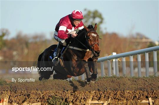 Leopardstown Christmas Racing Festival 2011 - Wednesday 28th December