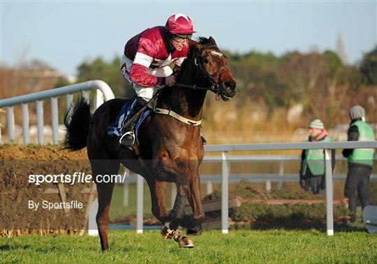 Leopardstown Christmas Racing Festival 2011 - Wednesday 28th December