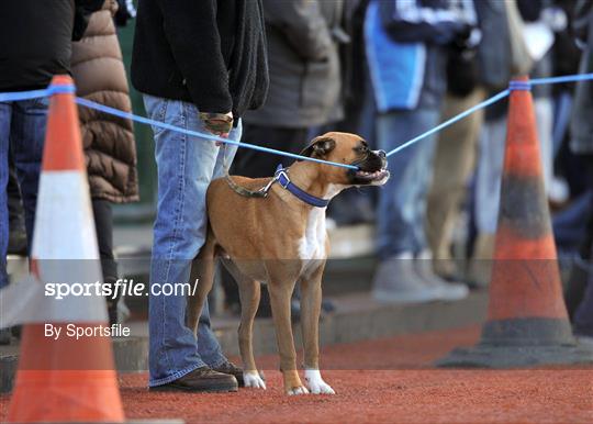 Dublin v Dublin Blue Stars - Annual Football Challenge 2012