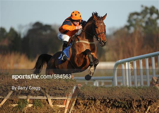 Leopardstown Christmas Racing Festival 2011 - Wednesday 28th December