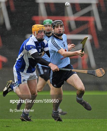 Laois v Dublin - Bord na Mona Walsh Cup