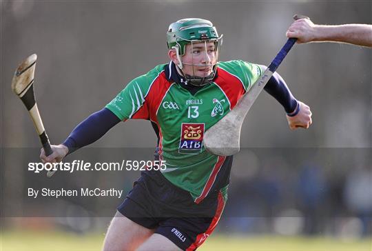 University of Limerick v Limerick Institute of Technology - Irish Daily Mail Fitzgibbon Cup Group C Round 1