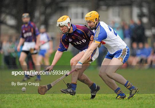 St Patrick's Mater Dei v University of Limerick - Irish Daily Mail Fitzgibbon Cup Group C