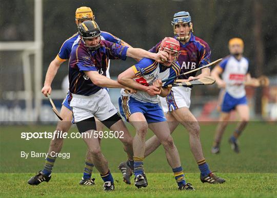 St Patrick's Mater Dei v University of Limerick - Irish Daily Mail Fitzgibbon Cup Group C