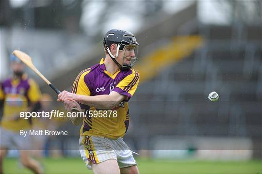 Wexford v Offaly - Bord Na Mona Walsh Shield Semi Final