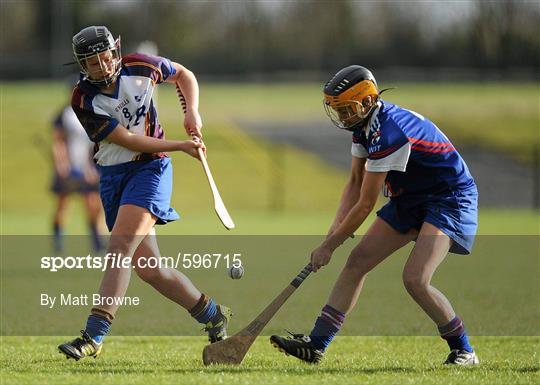 University of Limerick v Waterford Institute of Technology - 2012 Ashbourne Cup Final