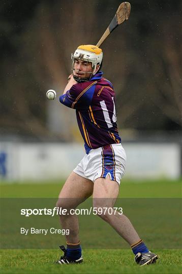 St Patrick's Mater Dei v University of Limerick - Irish Daily Mail Fitzgibbon Cup Group C