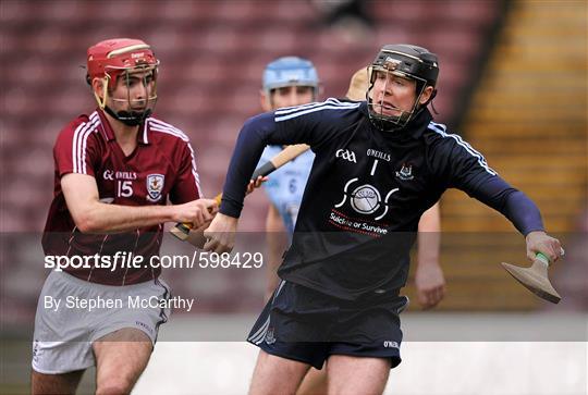 Galway v Dublin - Allianz Hurling League Division 1A Round 1