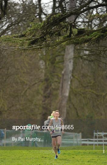 Woodie’s DIY AAI Inter Club Cross Country Championships of Ireland 2012