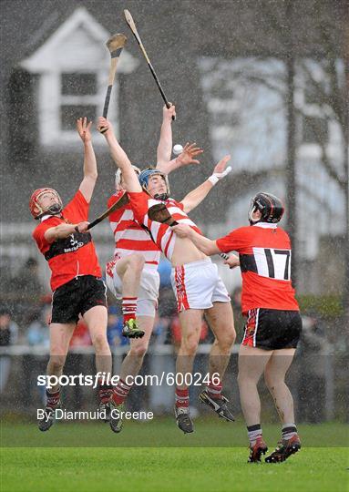 University College Cork v Cork Institute of Technology - Irish Daily Mail Fitzgibbon Cup Final