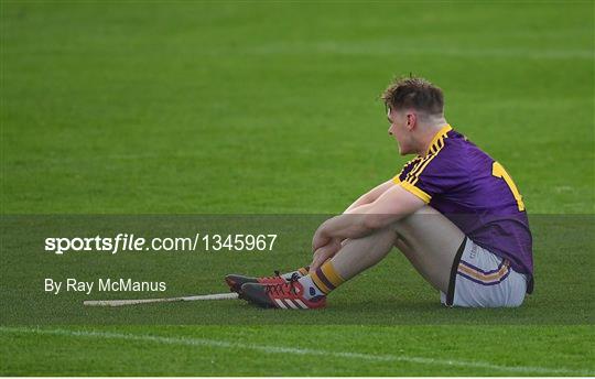 Kilkenny v Wexford - Bord Gais Energy Leinster GAA Hurling Under 21 Championship Final