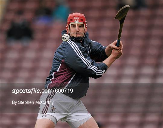 Galway v Dublin - Allianz Hurling League Division 1A Round 1