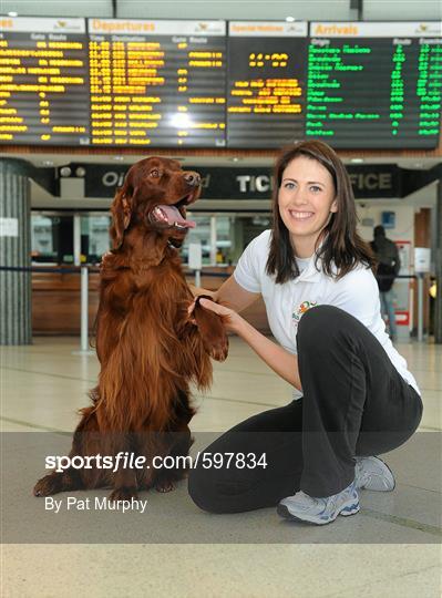 Bus store eireann dog