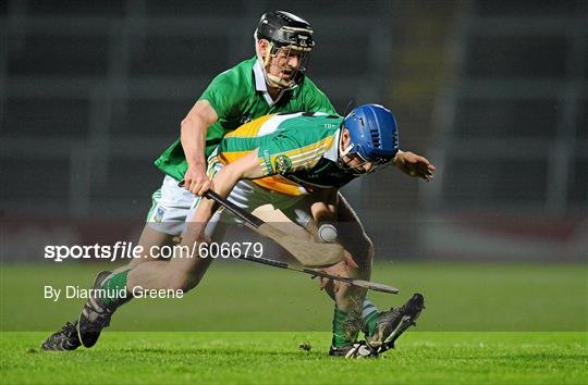 Limerick v Offaly - Allianz Hurling League Division 1B - Round 4