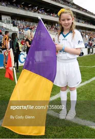 Wexford v Waterford - GAA Hurling All-Ireland Senior Championship Quarter-Final