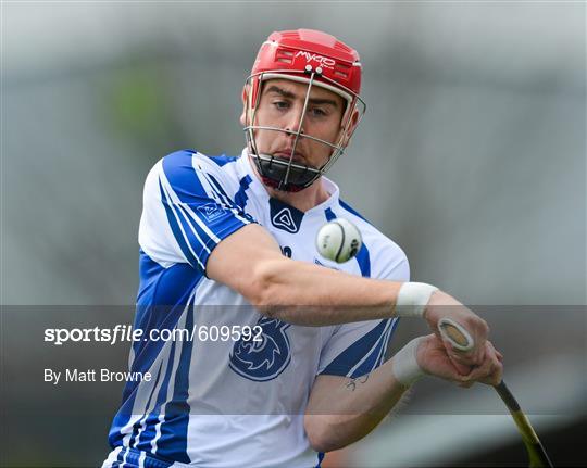 Waterford v Dublin - Allianz Hurling League Division 1A Round 5