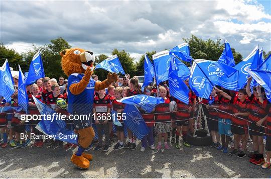 Leinster Rugby Open Training Session