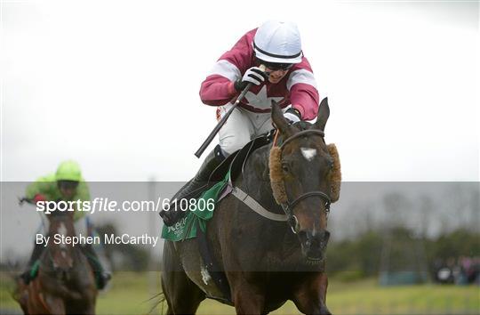 Horse Racing from Fairyhouse Racecourse - Monday 9th April