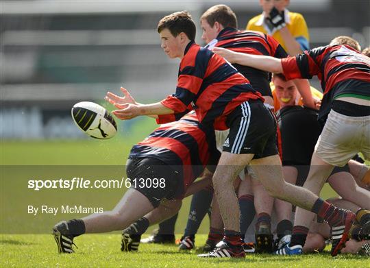 Rathcoole Community College v St. Colmcilles - South Dublin County Council Junior Cup Final