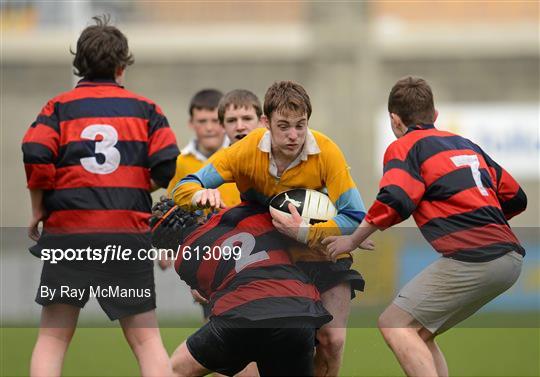 Rathcoole Community College v St. Colmcilles - South Dublin County Council Junior Cup Final