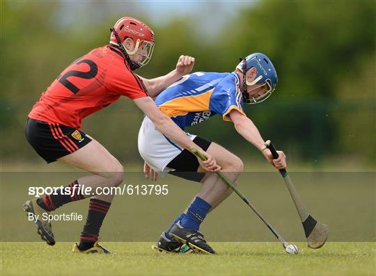 Wicklow v Down - Allianz Hurling League Division 2A Relegation Play-off