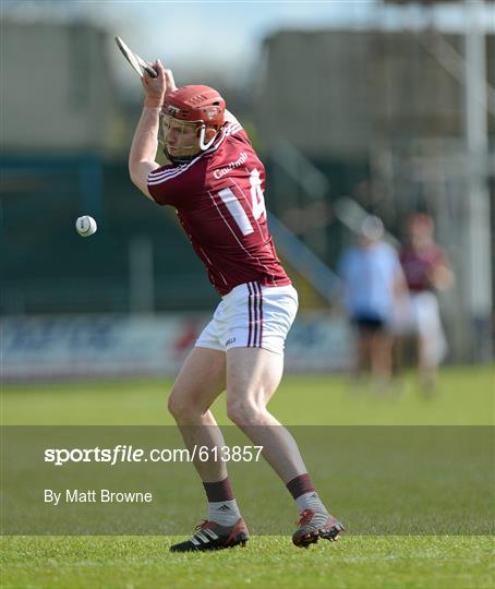 Galway v Dublin - Allianz Hurling League Division 1A Relegation Play-off
