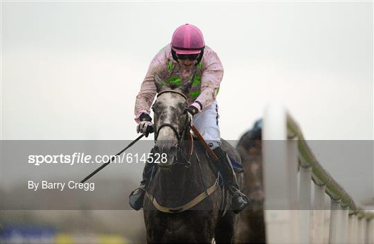 Punchestown Racing Festival - Wednesday 25th April