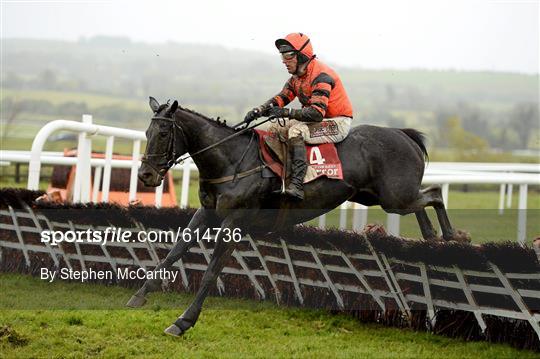 Punchestown Racing Festival - Wednesday 25th April