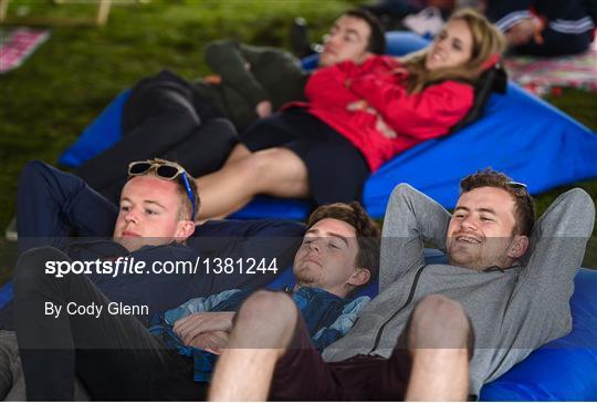 Electric Picnic Festival - Day 2