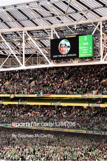 Republic of Ireland v Serbia - FIFA World Cup Qualifier Group D