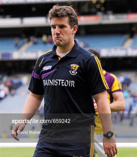 Dublin v Wexford - Leinster GAA Football Senior Championship Semi-Final