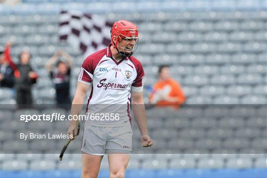 Kilkenny v Galway - Leinster GAA Hurling Senior Championship Final