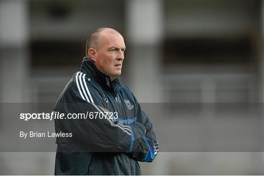 Dublin v Laois - GAA Football All-Ireland Senior Championship Quarter-Final