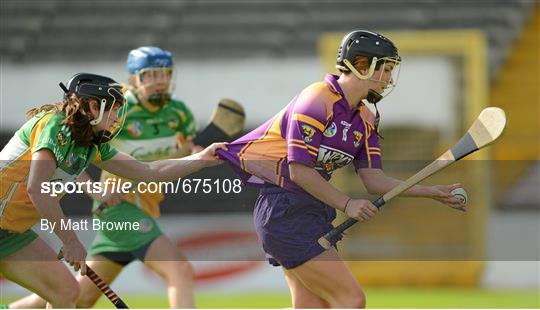 Wexford v Offaly - All-Ireland Senior Camogie Championship Semi-Final