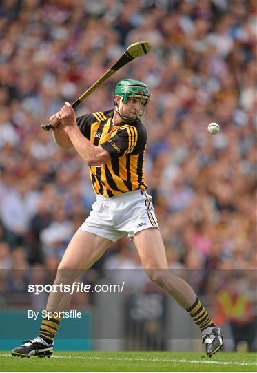 Kilkenny v Galway - GAA Hurling All-Ireland Senior Championship Final