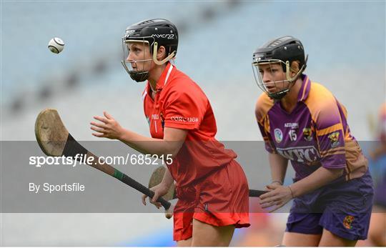 Cork v Wexford - All-Ireland Senior Camogie Championship Final