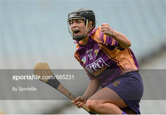 Cork v Wexford - All-Ireland Senior Camogie Championship Final