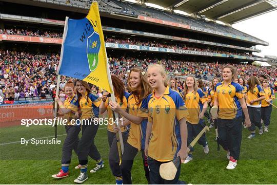 Parade Of U14 Development Squads At Cork V Wexford All Ireland Senior Camogie Championship Final Sportsfile