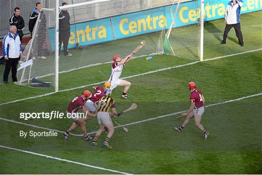 Kilkenny v Galway - GAA Hurling All-Ireland Senior Championship Final Replay