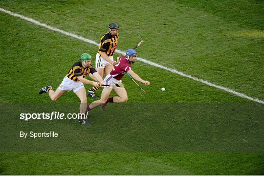 Kilkenny v Galway - GAA Hurling All-Ireland Senior Championship Final Replay