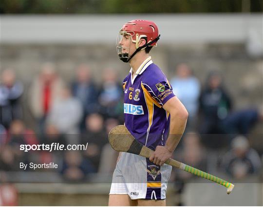 Cuala v Kilmacud Crokes - Dublin County Senior Hurling Championship Final