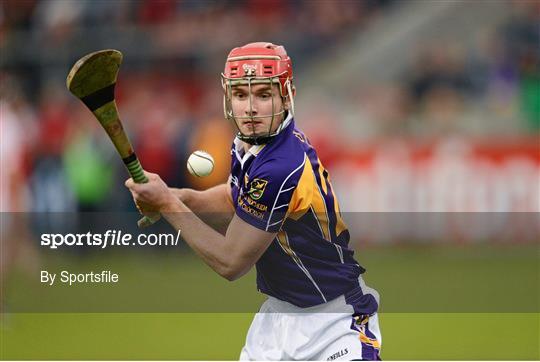 Cuala v Kilmacud Crokes - Dublin County Senior Hurling Championship Final