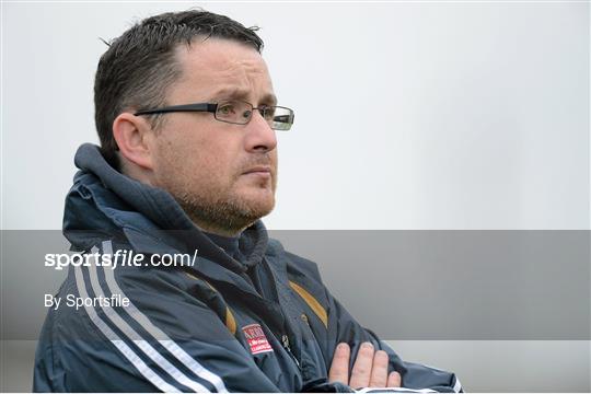 Offaly v Laois - Bórd na Móna O'Byrne Cup Group C