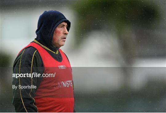 Dublin v Donegal - TESCO HomeGrown Ladies National Football League Division 1 Round 2